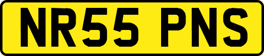 NR55PNS