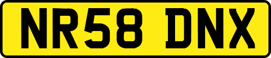 NR58DNX