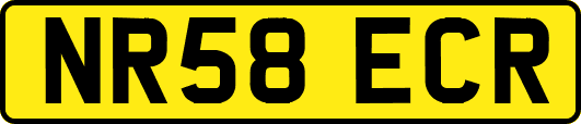 NR58ECR