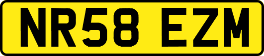 NR58EZM