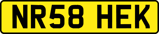 NR58HEK