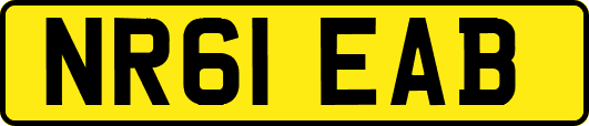 NR61EAB
