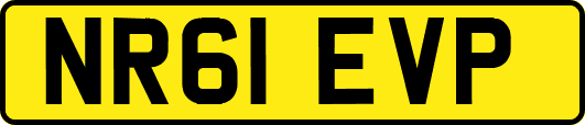 NR61EVP