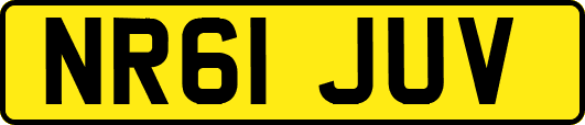 NR61JUV