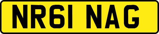 NR61NAG