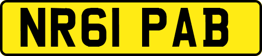 NR61PAB