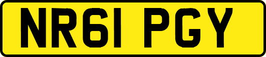 NR61PGY