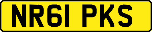 NR61PKS