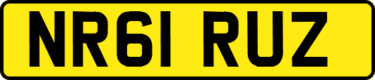 NR61RUZ