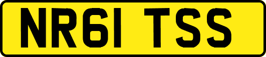 NR61TSS