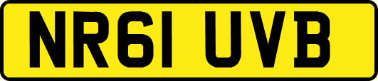 NR61UVB