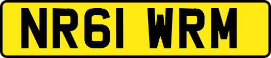 NR61WRM
