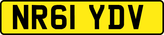NR61YDV