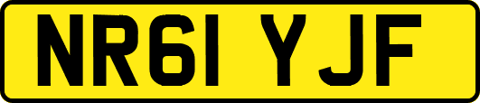 NR61YJF