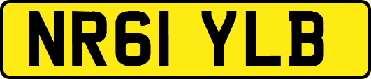 NR61YLB