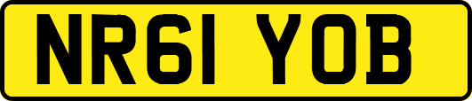 NR61YOB
