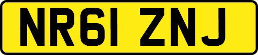NR61ZNJ