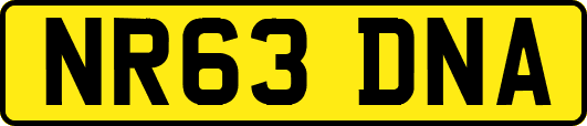 NR63DNA