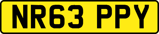 NR63PPY