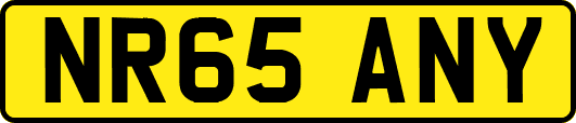 NR65ANY