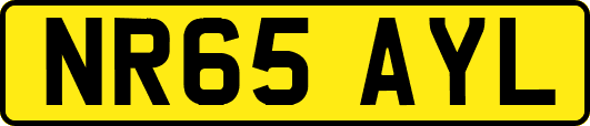 NR65AYL