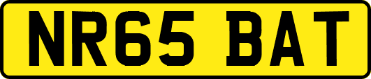 NR65BAT