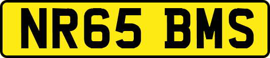 NR65BMS