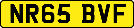 NR65BVF