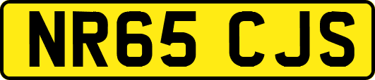 NR65CJS