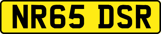 NR65DSR