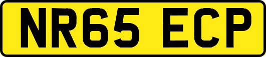NR65ECP