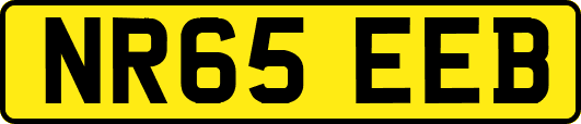 NR65EEB