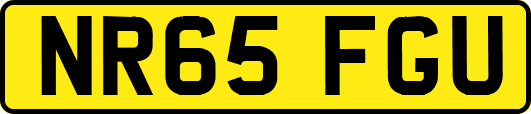 NR65FGU