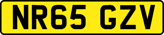 NR65GZV