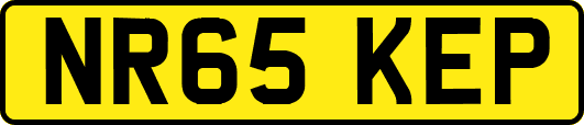 NR65KEP