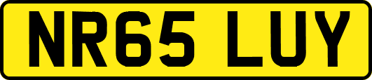 NR65LUY