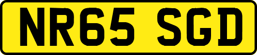 NR65SGD