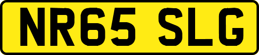 NR65SLG