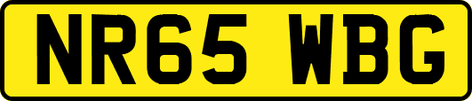 NR65WBG