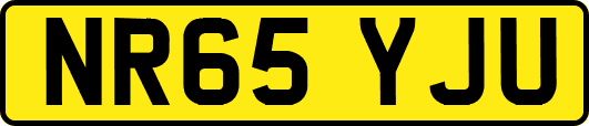 NR65YJU