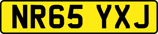 NR65YXJ