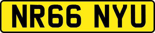 NR66NYU