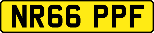 NR66PPF
