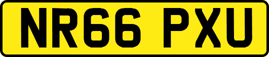 NR66PXU