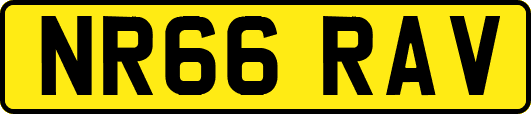 NR66RAV