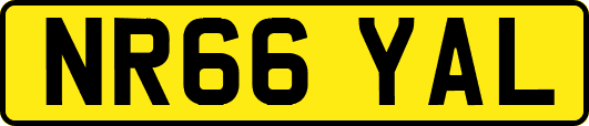 NR66YAL