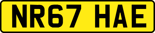 NR67HAE