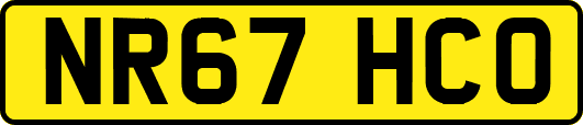 NR67HCO