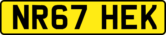 NR67HEK