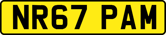 NR67PAM